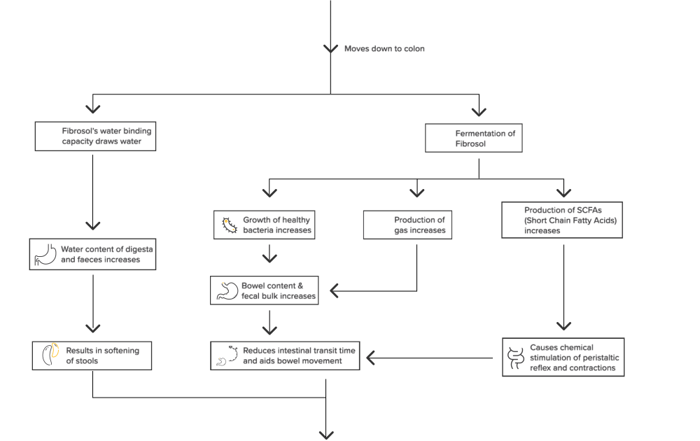 how-fibrosol-works-chart