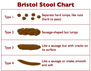 Bristol Stool Chart